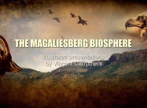 Introduction to the Magaliesberg – Part 1
