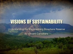 Visions of Sustainability – Part 2