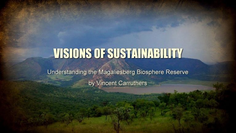Read more about the article Visions of Sustainability – Part 2