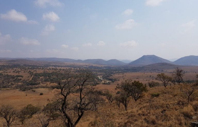 Read more about the article Crocodile River Reserve Press Release