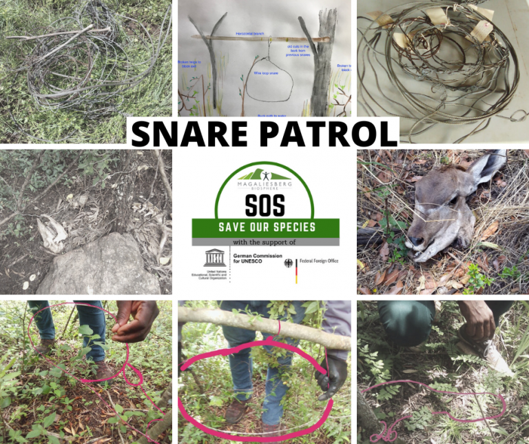 Read more about the article SOS Project – Anti Poaching Relief